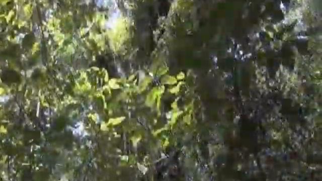 Мартовский хорал смотреть онлайн