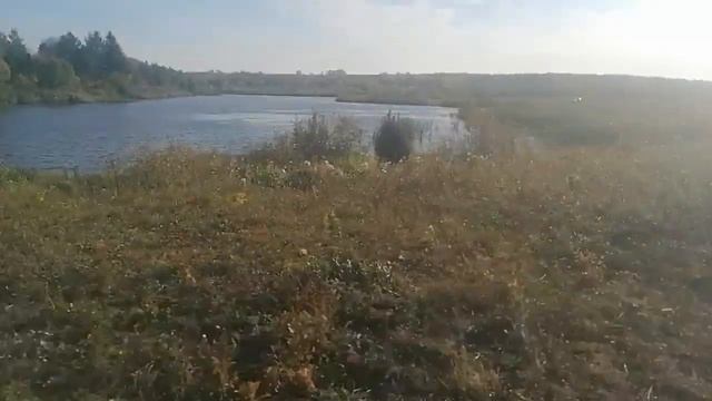 Угроза ОБРУШЕНИЯ дамбы пруда! Администрация бездействует! смотреть онлайн