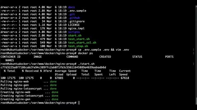 4 Deploy Nginx web proxy and webpage with Docker in Ubuntu смотреть онлайн
