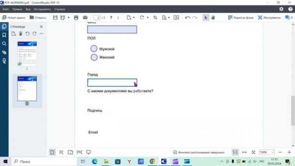 Как работать с интерактивными PDF-формами ContentReader PDF