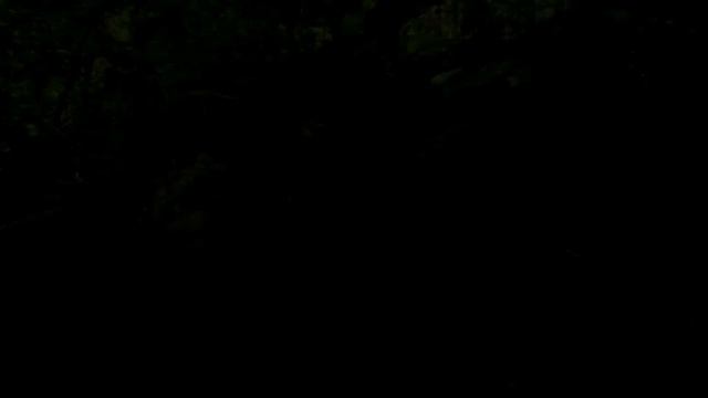 ЧЁРТОВО ГОРОДИЩЕ. Самое загадочное место Калужской области