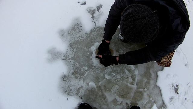ЗИМНЯЯ РЫБАЛКА?.ЛОВЛЯ ЖИВЦОВ НА КОСЫНКИ НА ПРУДУ.ЖИВЕЦ ГОЛЬЯН .ЧАСТЬ 3. смотреть онлайн