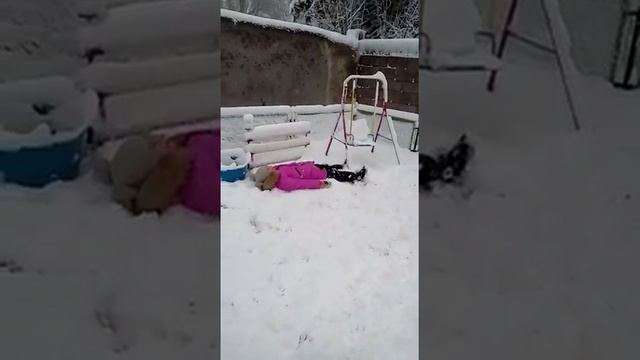 НАСТОЯЩАЯ-Вега Гром и зима.!!!!!!!!!!!!!!!!! смотреть онлайн