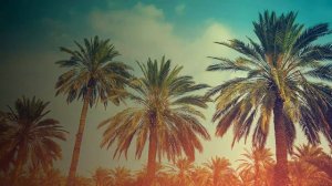 КАК ВЫУЧИТЬ АНГЛИЙСКИЙ САМОСТОЯТЕЛЬНО 🏆│ English Spot - разговорный английский