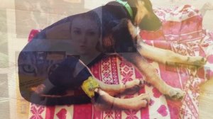 ЛЕЧЕНИЕ ЭНТЕРИТА У СОБАК. Советы Ветеринарного Врача.
