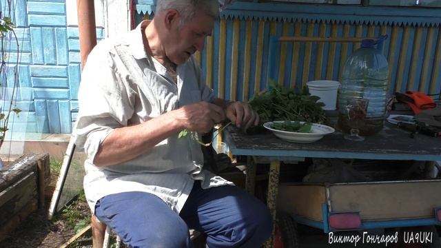 Дачные дела Сныть смотреть онлайн