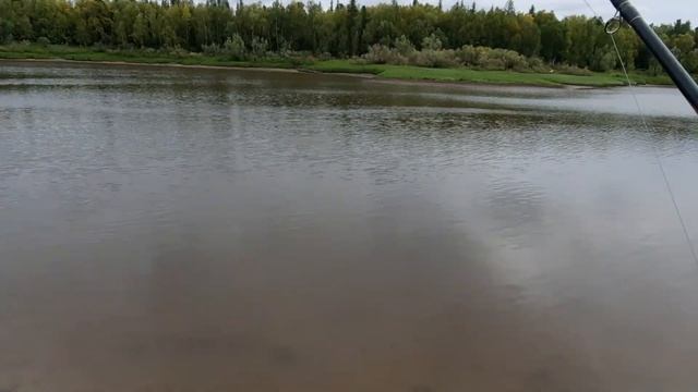 Хорошо провели время на рыбалке с дочкой,рыбалка на спиннинг смотреть онлайн