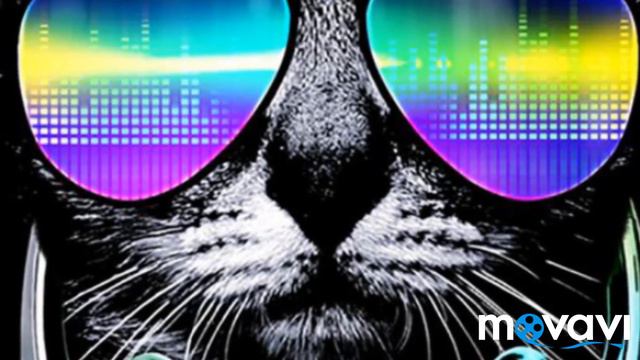 Песня спасательный круг.Face смотреть онлайн