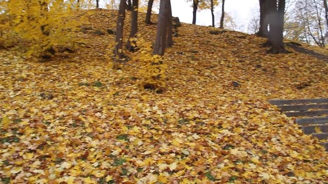 Осень, Тарту, 9.10.2013 смотреть онлайн