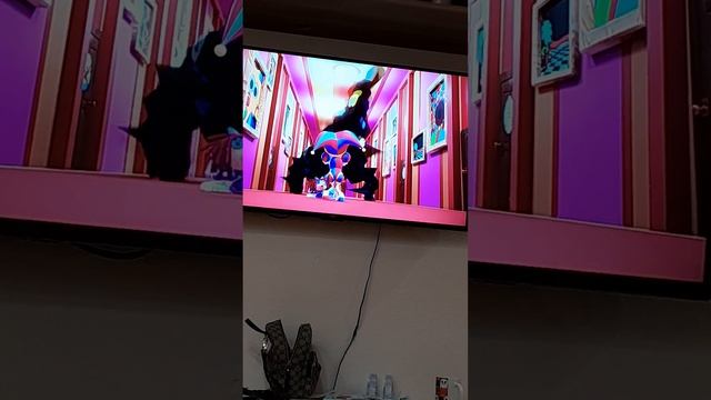 удивительный цифровой цирк♡♡◇◇♧♧♤♤ смотреть онлайн