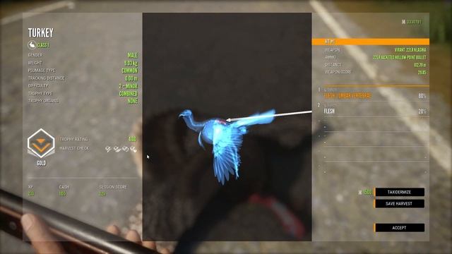 theHunter Call of the wild Turkey hunt & Turkey room смотреть онлайн