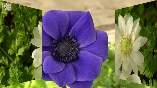 Агрогороскоп с 14 по 17 февраля 2023 года смотреть онлайн