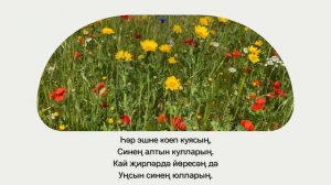 Туган көнең белән, абый!