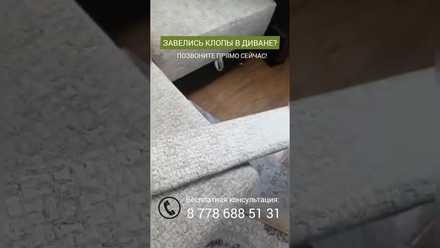 Завелись клопы в диване? Позвоните нам ! смотреть онлайн