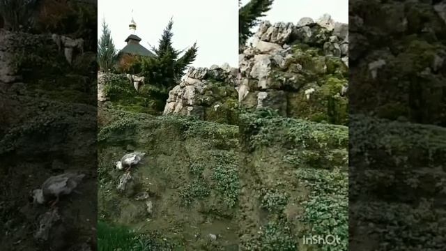 Парк Родник.mp4 смотреть онлайн