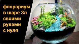 Флорариум в стеклянном шаре 3л своими руками с нуля