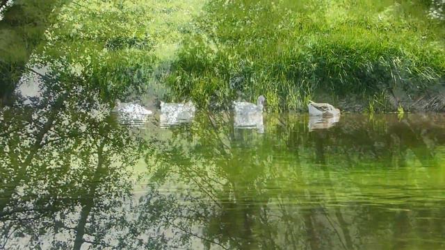 Весна в Дорохово смотреть онлайн