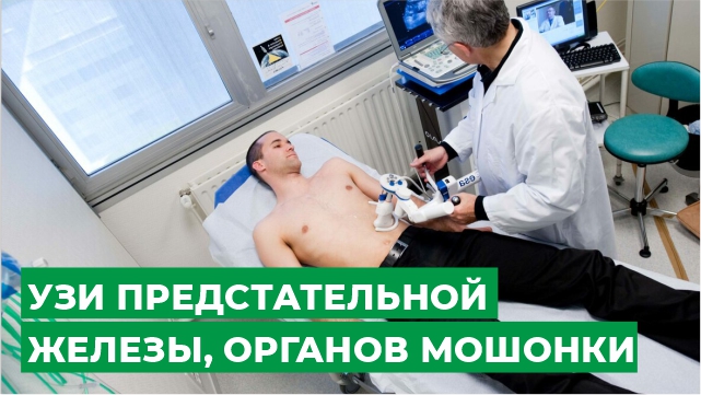 УЗИ предстательной железы и органов мошонки. смотреть онлайн