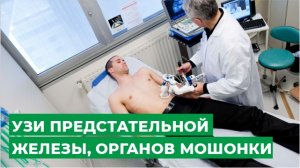 УЗИ предстательной железы и органов мошонки.