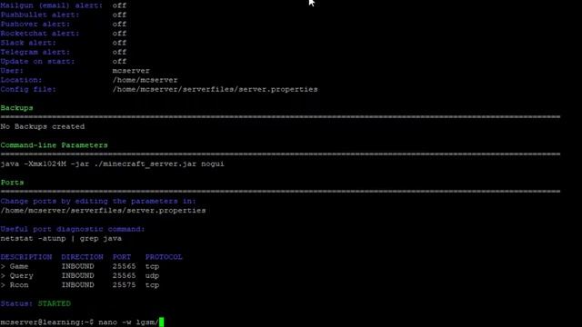 How to setup a linux Minecraft Java Server смотреть онлайн