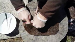 Правильная разделка черноморской камбалы калкан.