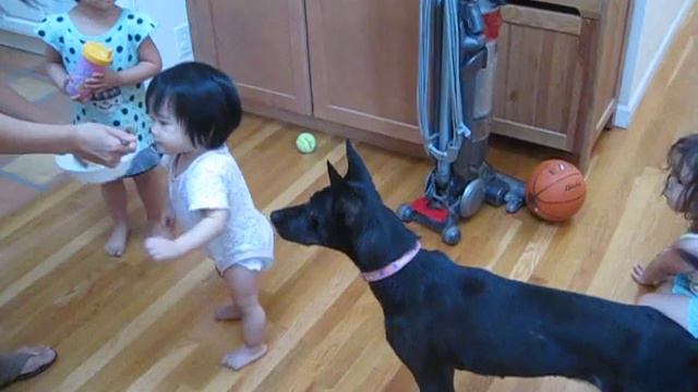 Nana with 3 kids (Mira, Mika, & Erica) смотреть онлайн