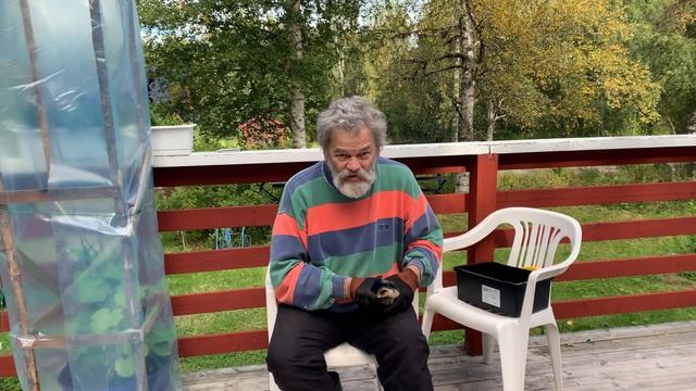 Я на даче в Швеции смотреть онлайн