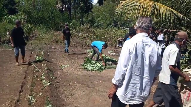 BELAJAR BERSAMA - YPPS // Kelompok Tani Wailako - Lamahelan смотреть онлайн