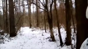 квадроцикл РЫСЬ 125 с шаровой от ваз 2108 ТЕСТ!