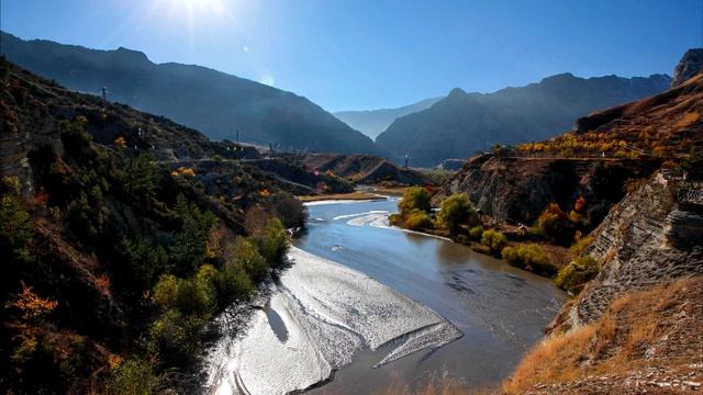 Парень рисковал жизнью, чтобы спасти умирающего медвежонка! Он уже не надеялся, что эта история з.. смотреть онлайн