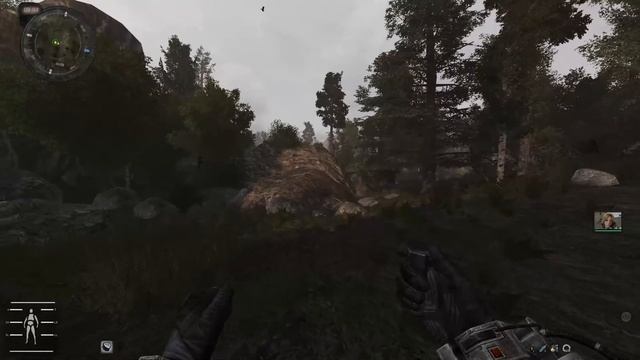 Stalker Anomaly Redux 1.1 Найти артефакт в Мертвом лесу смотреть онлайн