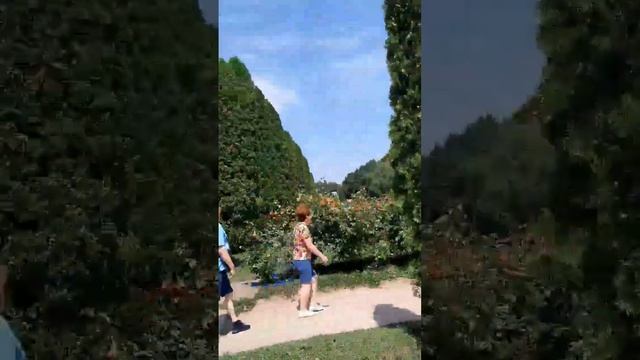 МОЙ КИСЛОВОДСК. смотреть онлайн