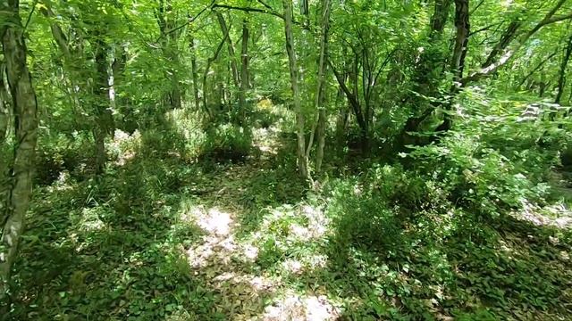 Криница, Тёмная щель. Поход от поселка Криница до Тёмной щели. смотреть онлайн