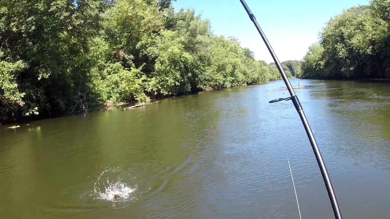 Сплав по малой реке. Летняя рыбалка на спиннинг