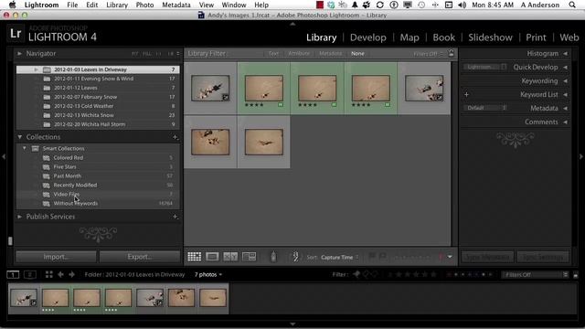 Adobe Photoshop Lightroom 4 Tutorial | Creating Smart Collections смотреть онлайн