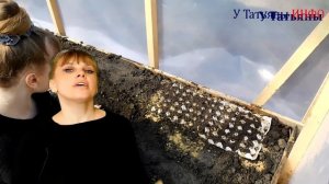 Маленькие хитрости при посадке редиса. Редис в лотках из-под яиц.