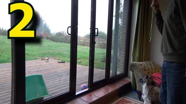 Dog Whistle Sound to Call Dog смотреть онлайн