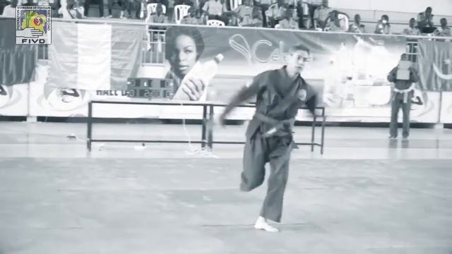 Змея в стиле Вовинам (Са Куэн). Мастер Ле Тан Минь (5 Данг) смотреть онлайн