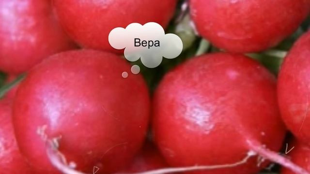 Редис - выбираем сорта смотреть онлайн