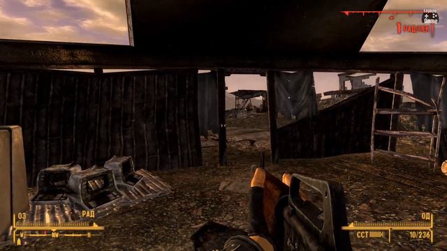 Fallout: New Vegas | Сумасшествие