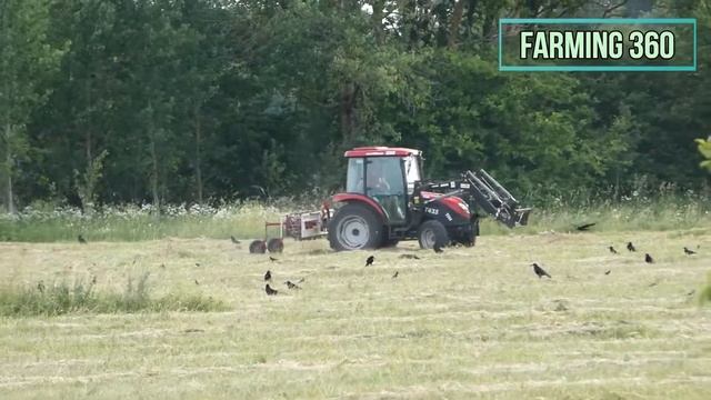 Silage 2022 | TYM T433 raking hay смотреть онлайн