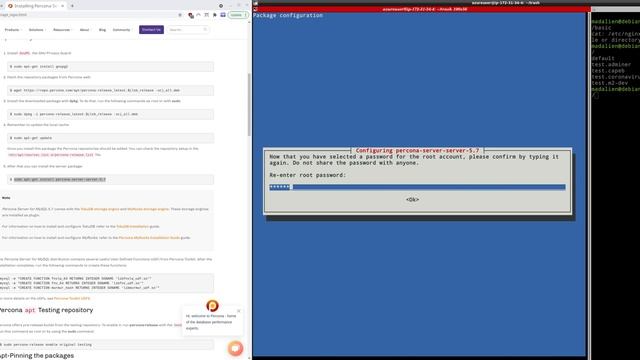 Server setup install nginx, php7.4, free ssl certificate, elasticsearch on debian for magento2 смотреть онлайн