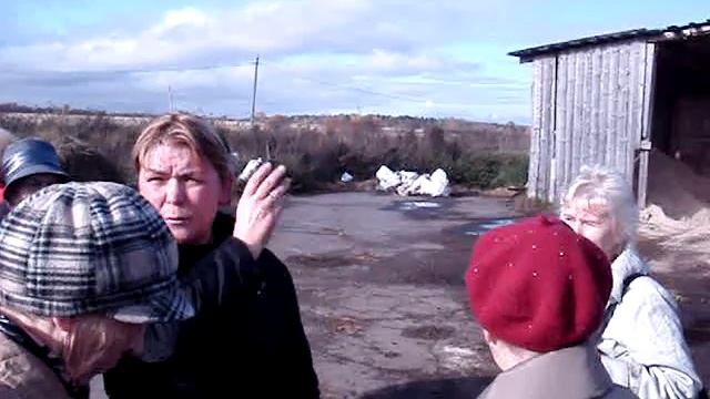 Маленькие телята на ферме семейный капитал в Туксе смотреть онлайн