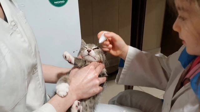 Руководство к Творческой Эффективности