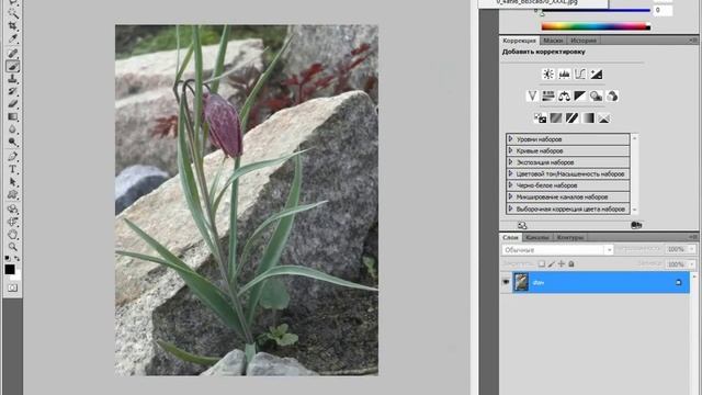 Как открыть фото в фотошопе смотреть онлайн