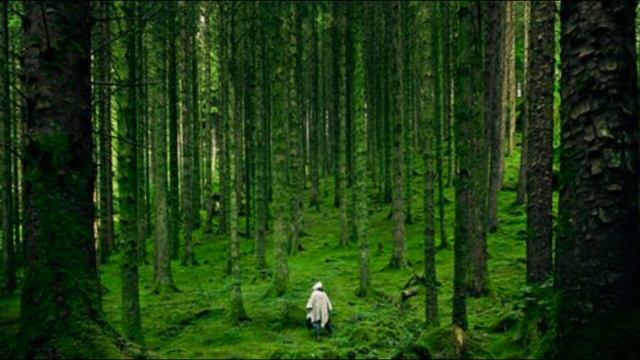 «На деревню к дедушке» смотреть онлайн