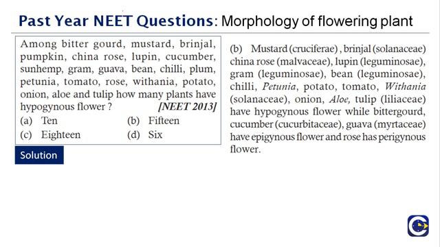 Past Year NEET Questions-Morphology of Flowering Plants-Part 2