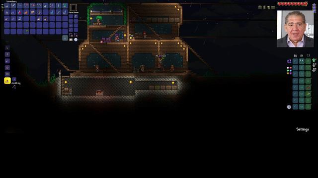 Totally Normal Terraria Playthrough Episode 2: Stellar Progress (not Really)