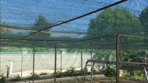 Затеняющая сетка для огорода Демонстрация конструкции