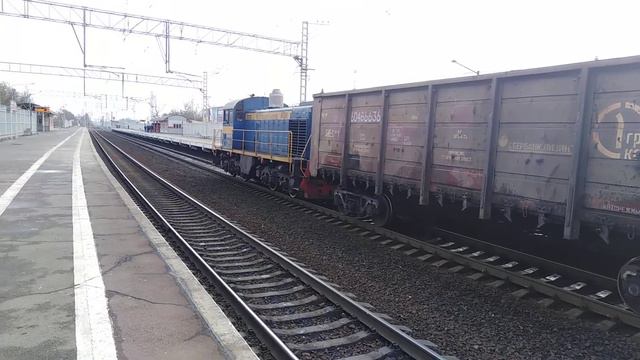 Маневры тепловоза ТГМ4А-2450 с полувагонами на станции Колпино смотреть онлайн